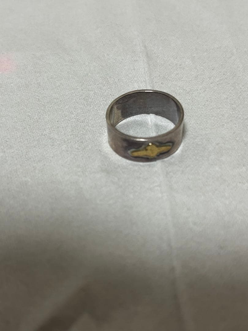 わ*ん様 シルバー925 銀　アクセサリー　硬貨