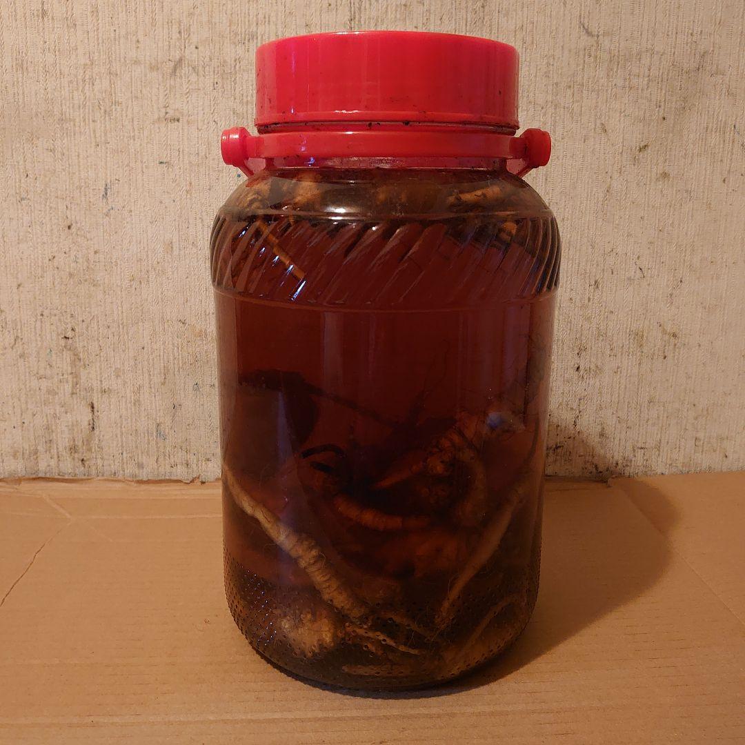 大阪府生駒山系信貴山の天然物ツルニンジン酒 5 Ｌ入り