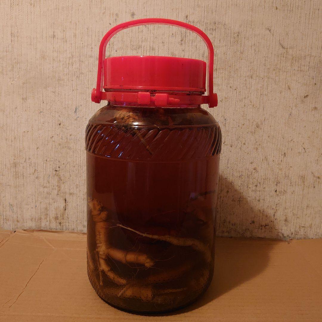大阪府生駒山系信貴山の天然物ツルニンジン酒 5 Ｌ入り
