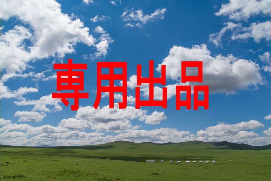 天然純粋はちみつ100%菩提樹の蜂蜜32本☆送料無料☆