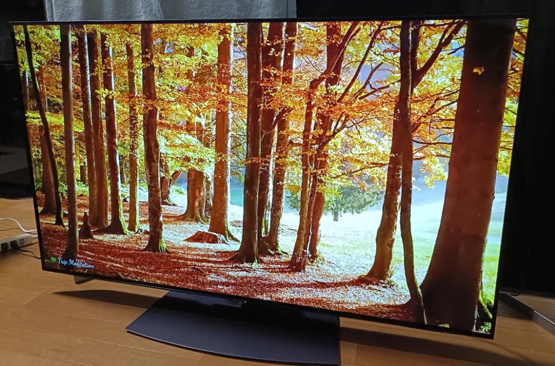 井上さま専用　20年製SHARP AQUOS 55V型 4T-C55CQ1