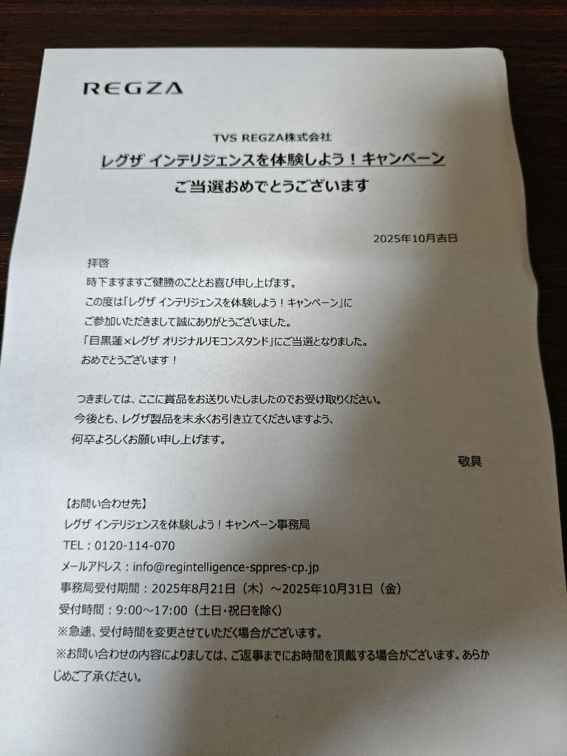 REGZA 目黒蓮 テレビリモコンスタンド