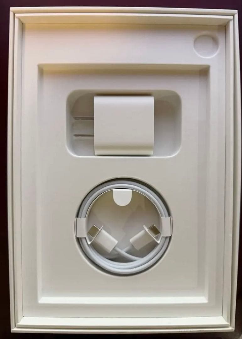 【診断OK】iPad mini (第6世代) 64GB Wi-Fi スターライト