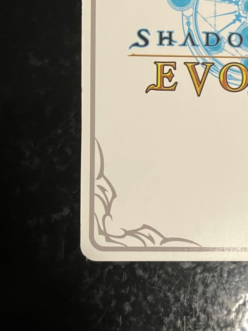 境界を超えし者・ドロシー　リーダー