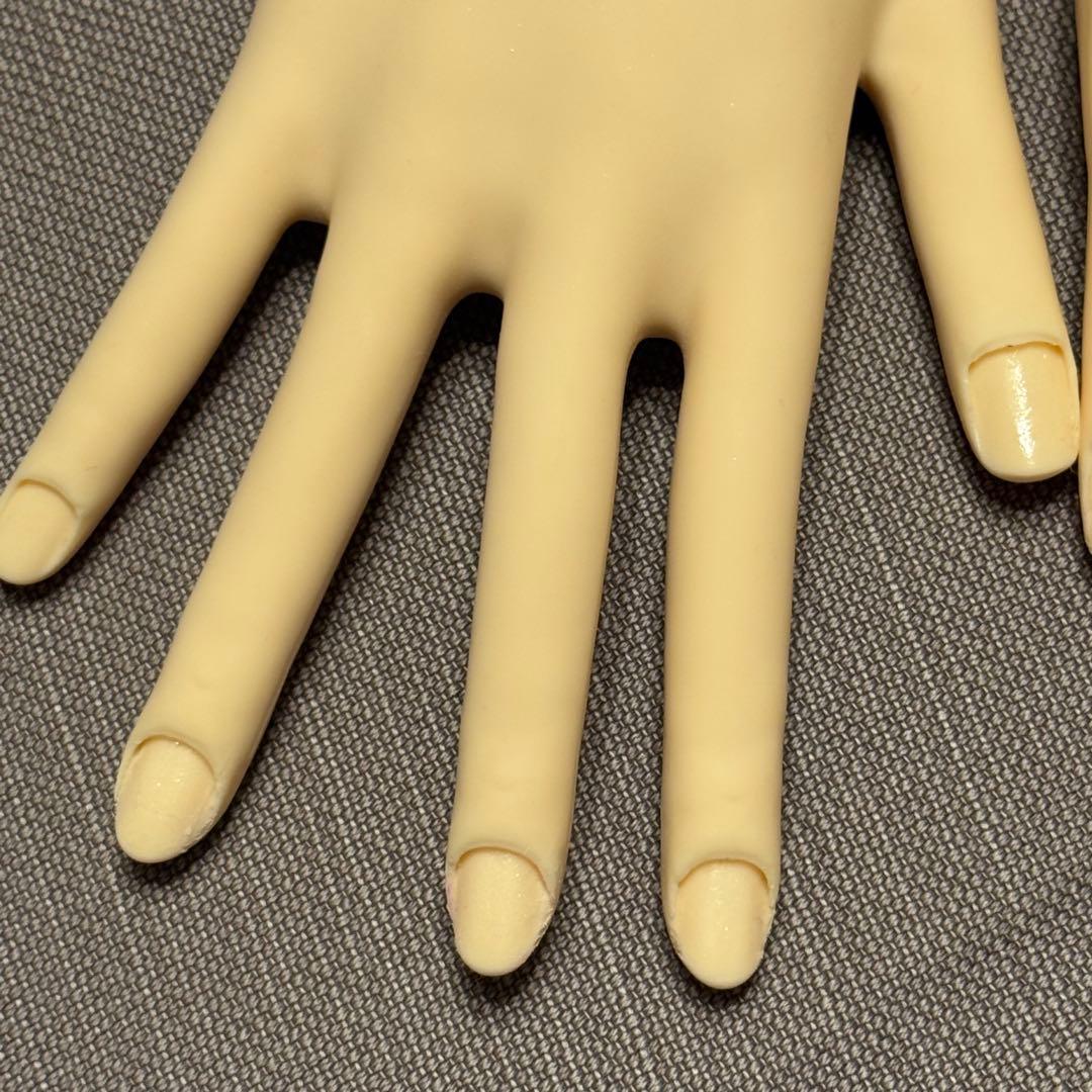 JNEC 認定モデルハンド　骨折なし