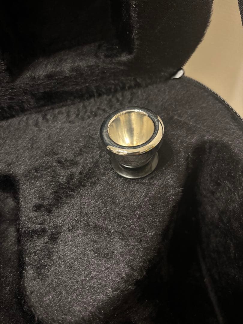 アルトホルン ケース、マウスピース付き