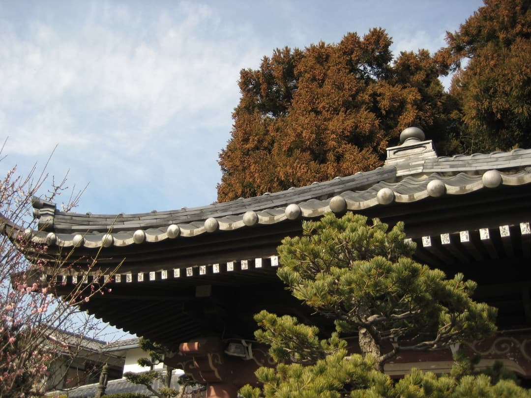 実写美⭕️美品【動作確認済み】Canon IXY DIGITAL 10 デジカメ