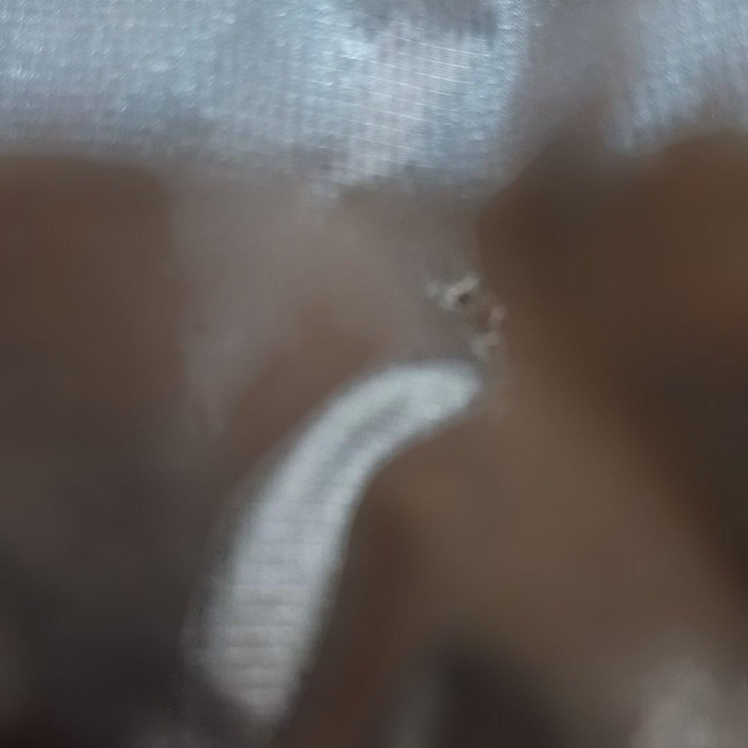 THE NORTH FACE SUMMIT SERIES ダウンベスト L