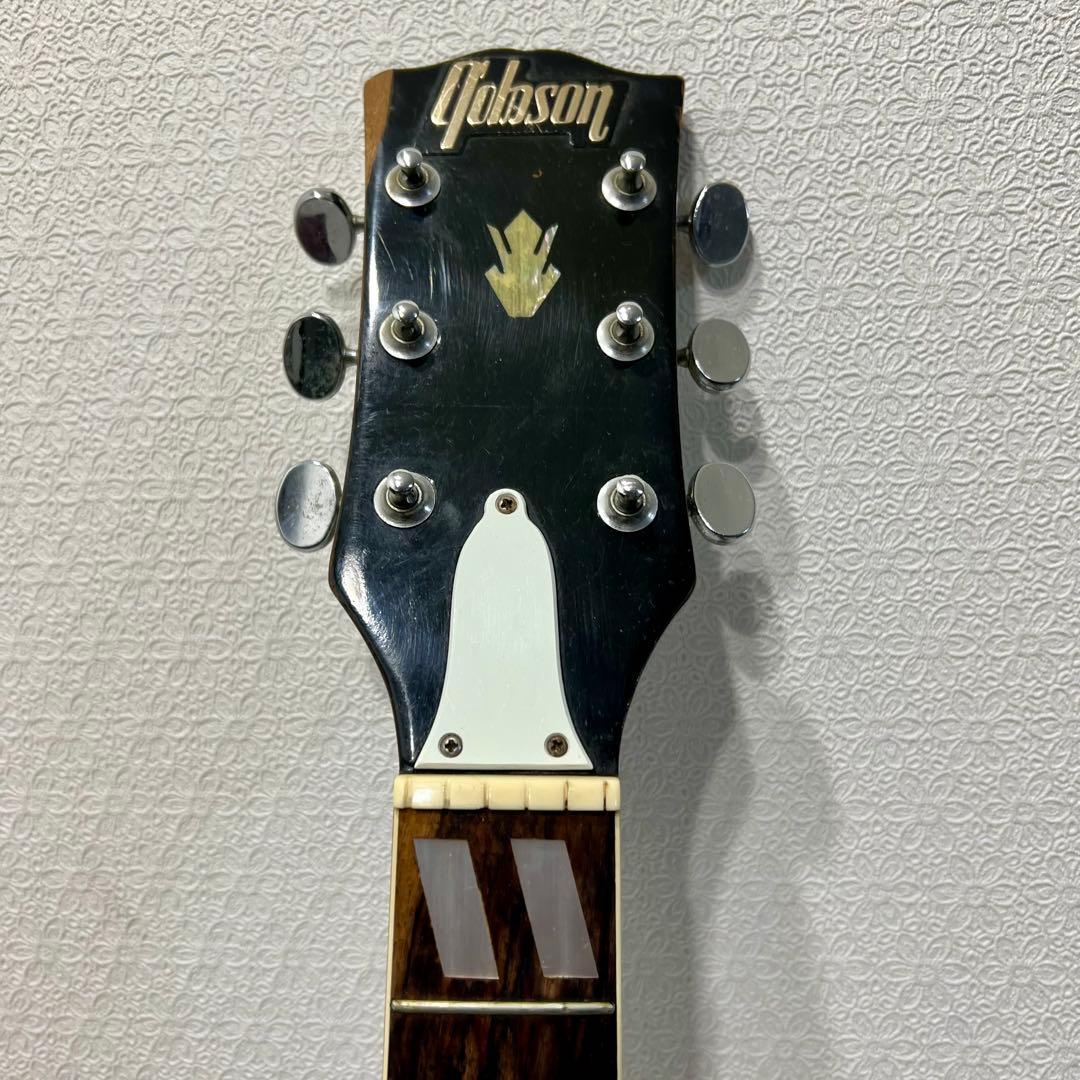 TOMSON TGF-351 ギター すがの ヴィンテージ ハミングバード