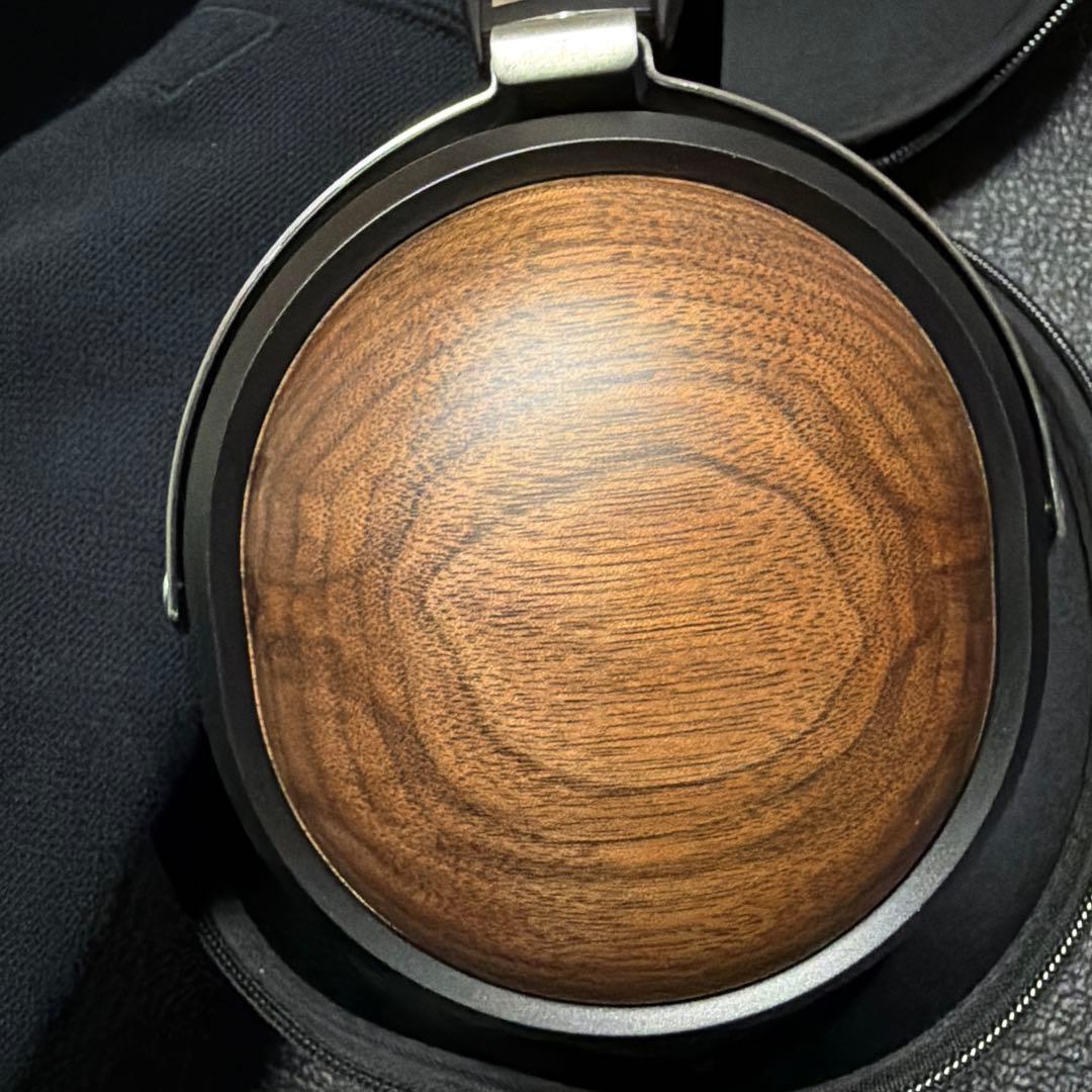 FIIO FT1 密閉型 有線ヘッドホン 極美品 国内正規品