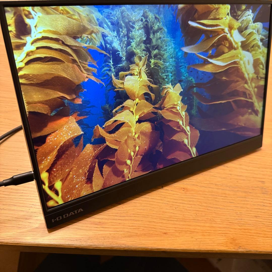 I-O DATA EX-LDC161DBM 15.6 モバイルモニター 付属品有