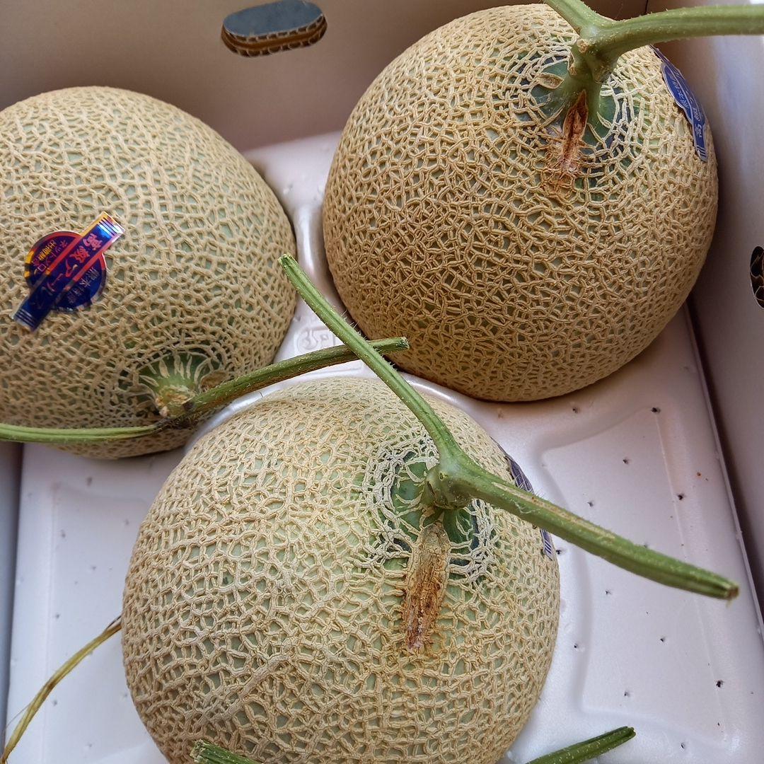 アールスメロン