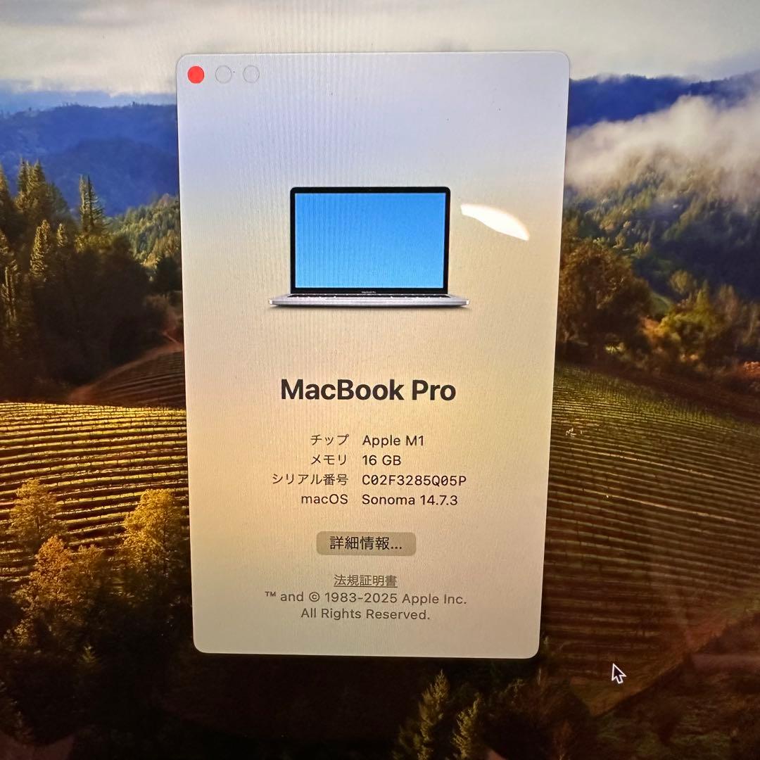 MacBook本体 Apple Macbook Pro M1 16GB 2TB 2020 MAC