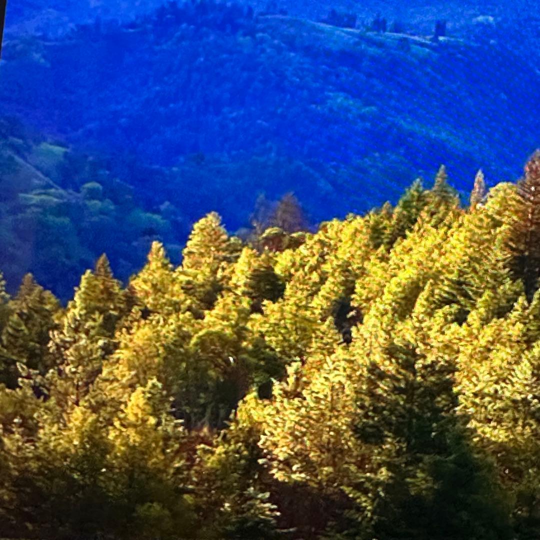 MacBook本体 Apple Macbook Pro M1 16GB 2TB 2020 MAC