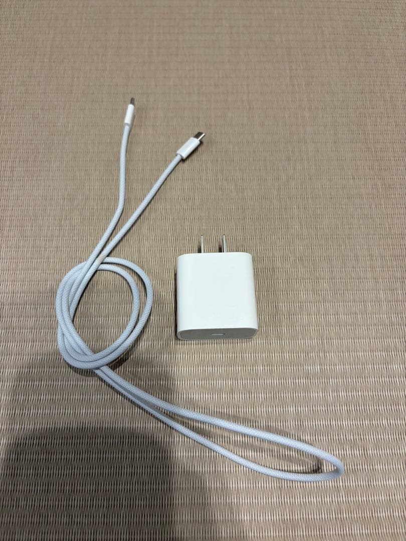 iPadPro11インチ第4世代256GB