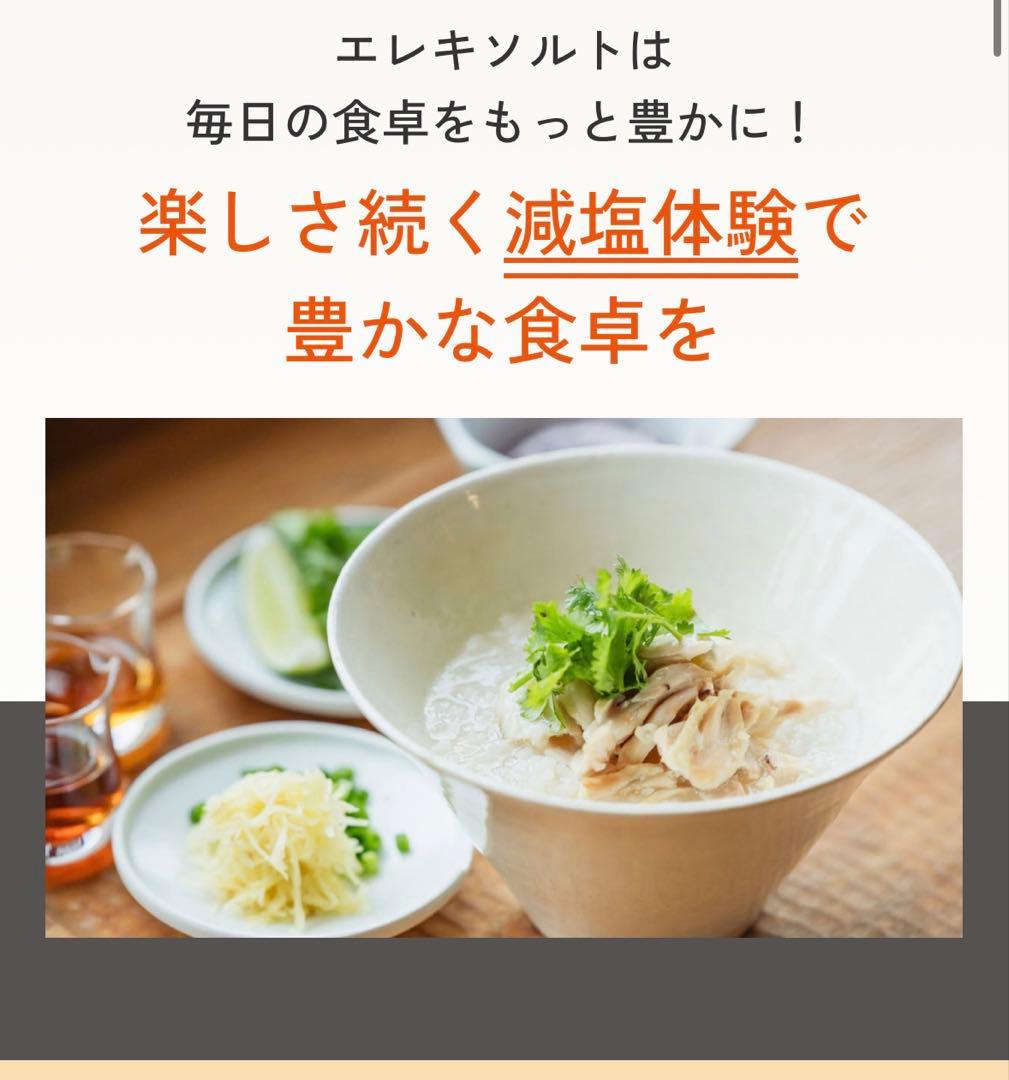 【新品未開封】エレキソルトスプーン 商品番号 : ES-S002