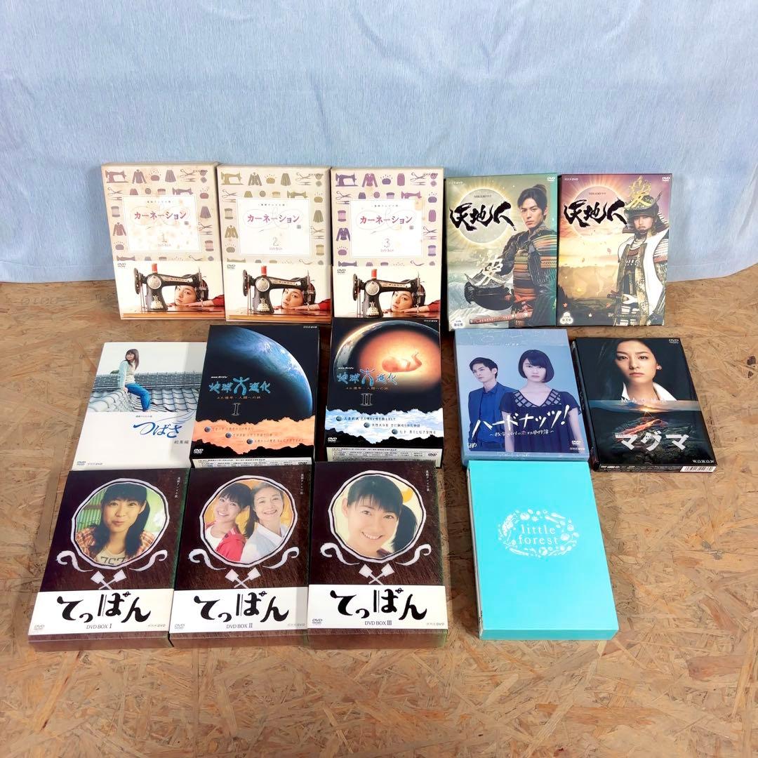 名作オンパレード！休日が一瞬で終わるDVDまとめ売り 日本映画 NHK 朝ドラ