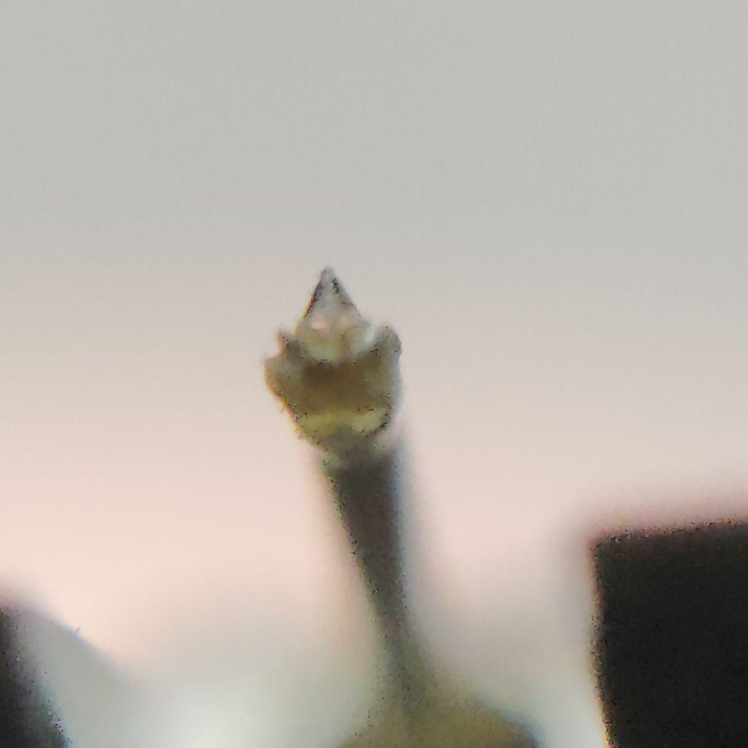 DENON MCカートリッジ DL-103 音質良好です。