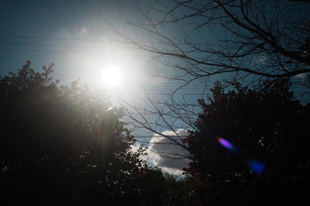 【整備＆テスト済】Nikon SERIES E 35mm F2.5 198