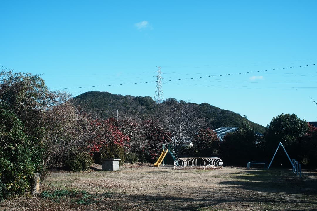 【整備＆テスト済】Nikon SERIES E 35mm F2.5 198