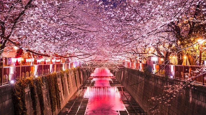 HDR搭載 55V型 テレビ TV 4KTV 4K液晶TV 4K対応テレビ