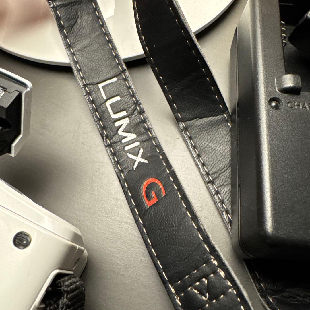 【LUMIX GF6】 動作確認済 バッテリーチャージ / 8gbカード付き