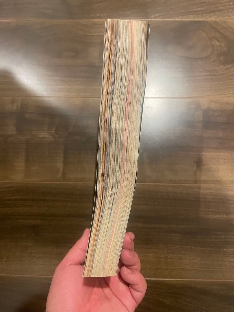 プリンセス 1月号 1984年