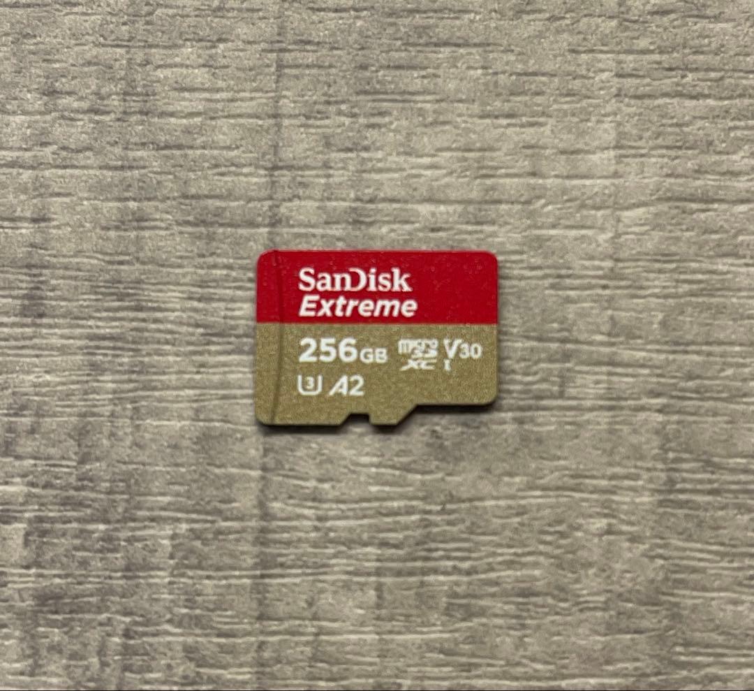 ウォークマン 32GB NW-A106 sandisk SDカード256GB付