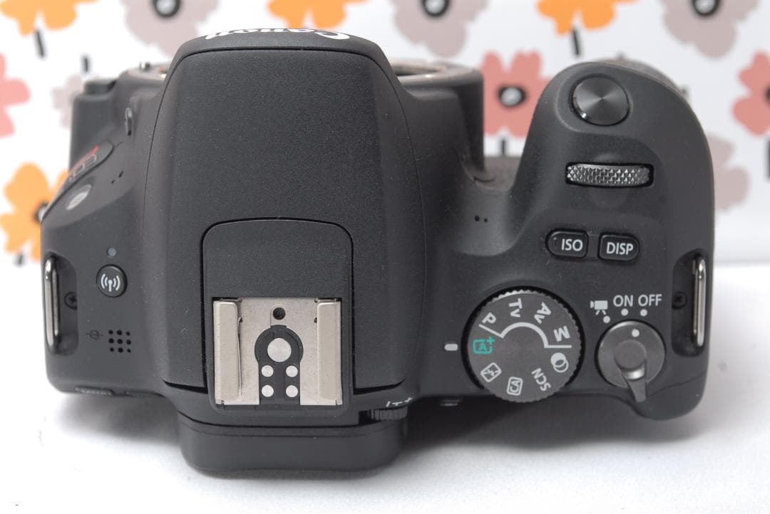 ❤Canon kiss X9❤手ぶれ補正標準＆超望遠❤一眼レフカメラ❤スマホ転送