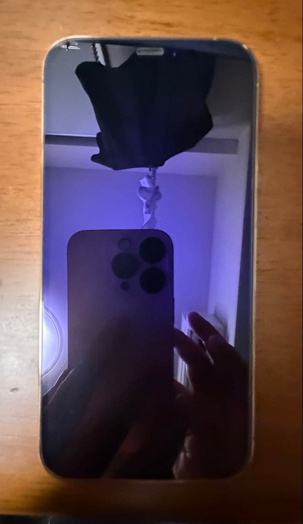 Apple iPhone 12 Pro 256GBゴールド 本体 箱付き