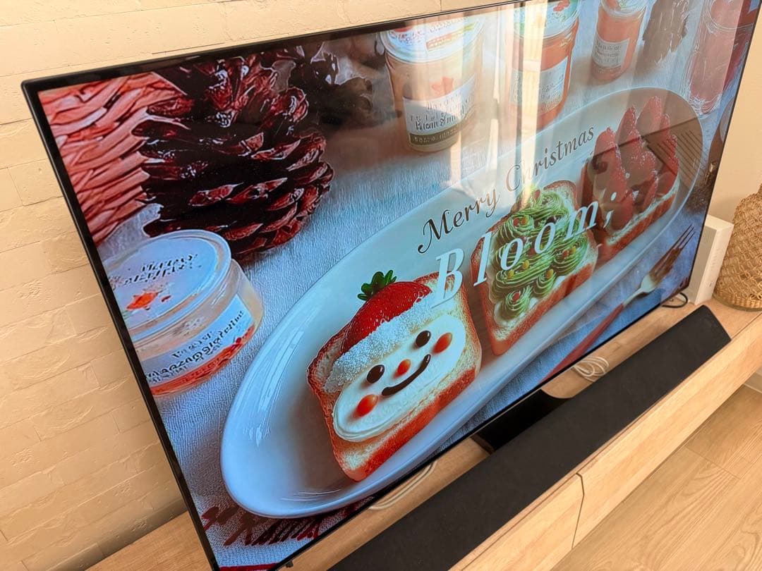 Panasonic 有機EL 55V型 TH-55FZ1000