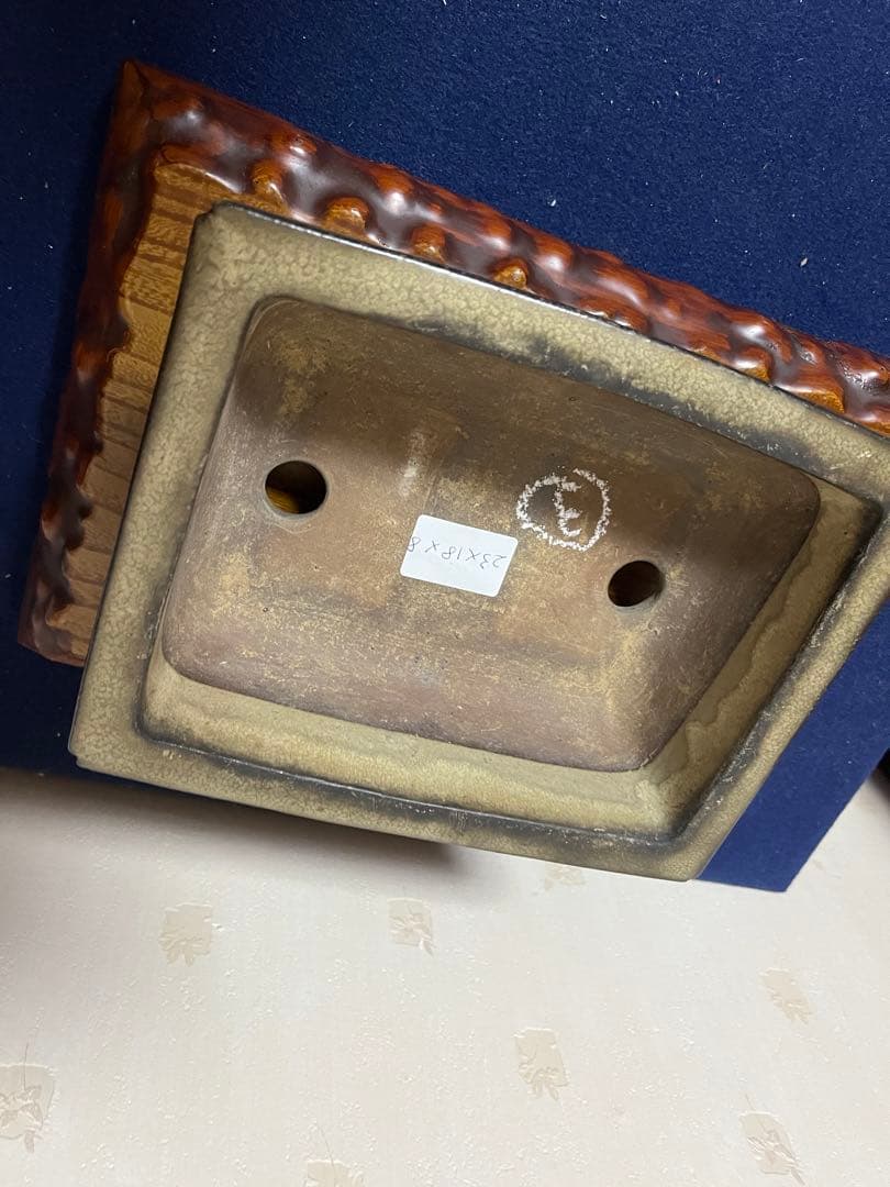 勝俣博456 盆栽　盆栽鉢　植木鉢　和鉢　一陽