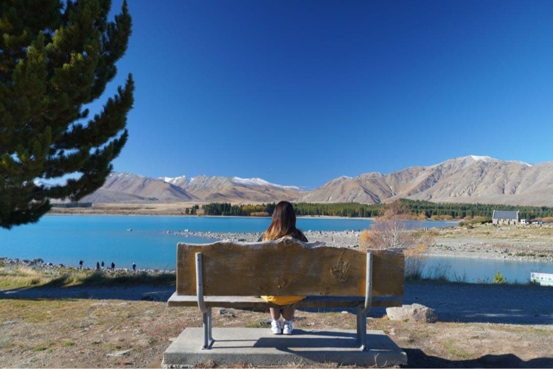 SONY Vlog Cam ZV-E10 ボディ　追加バッテリー　おまけ付き