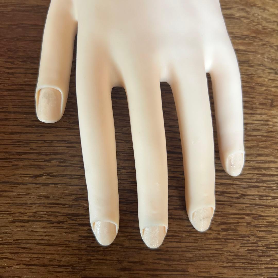 JNEC認定 モデルハンド