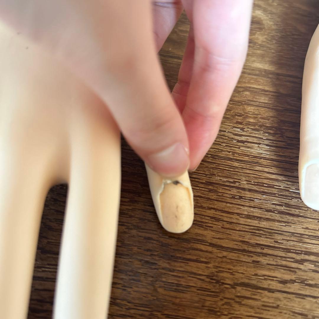 JNEC認定 モデルハンド