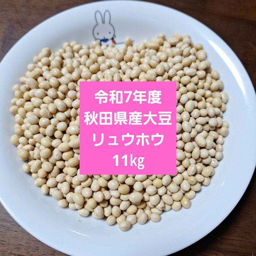 令和7年度秋田県産大豆(リュウホウ)11㎏