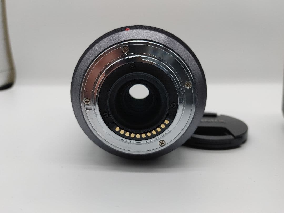 シ*レ様 Panasonic LUMIX G VARIO 45-200mm