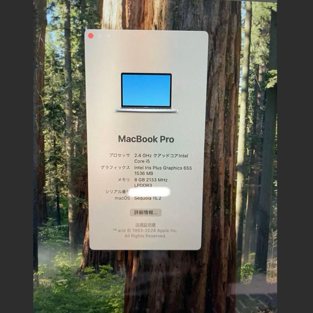 本日発送可【バッテリー良好】MacBook Pro 2019 13インチ