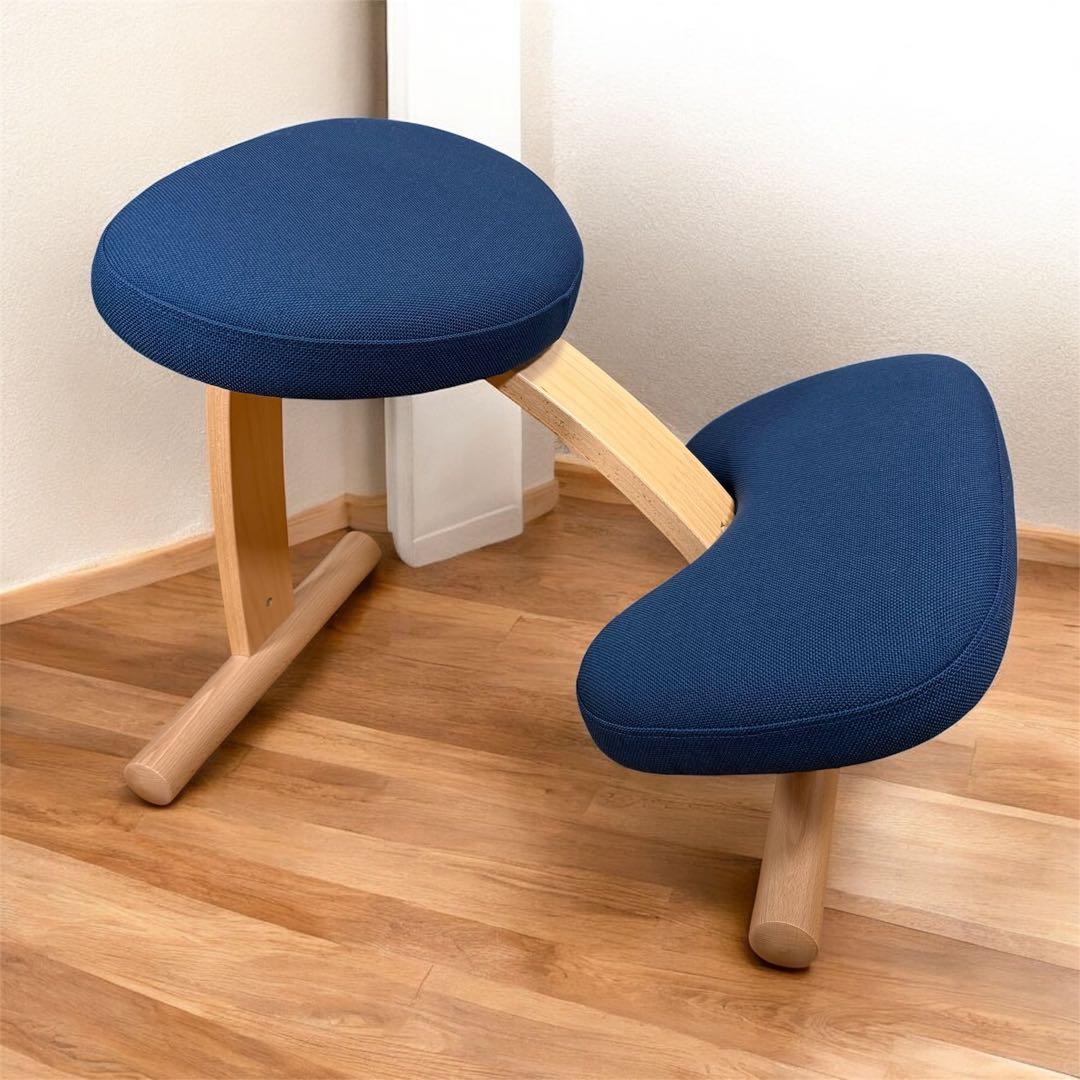 【極美品】サカモトハウス　バランスチェア バランスイージー ネイビー　カバー付き