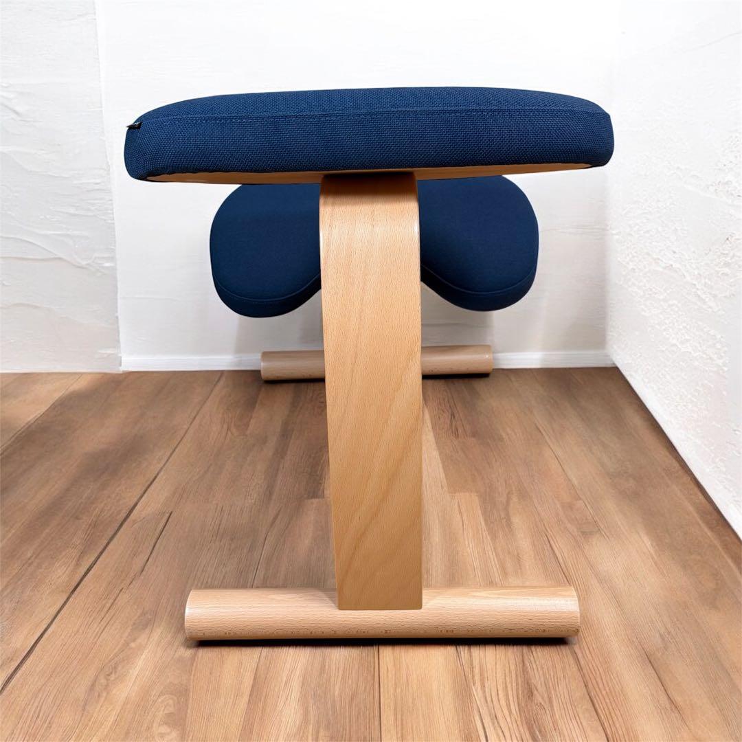 【極美品】サカモトハウス　バランスチェア バランスイージー ネイビー　カバー付き