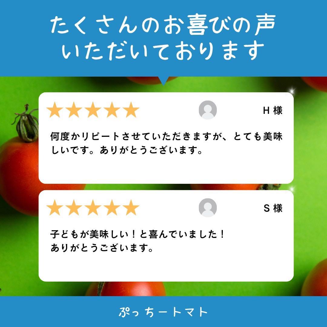 ミニトマト　10キロ　野菜　熊本　おやつ　弁当　おかず　ミネラル　リコピン