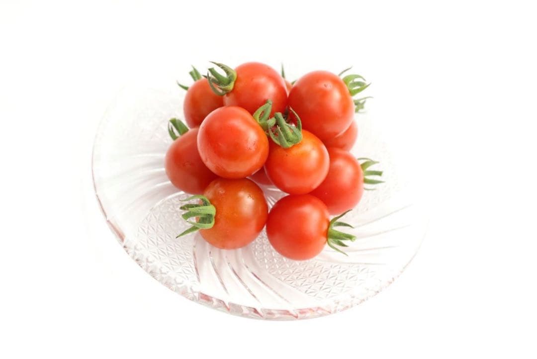 ミニトマト　10キロ　野菜　熊本　おやつ　弁当　おかず　ミネラル　リコピン