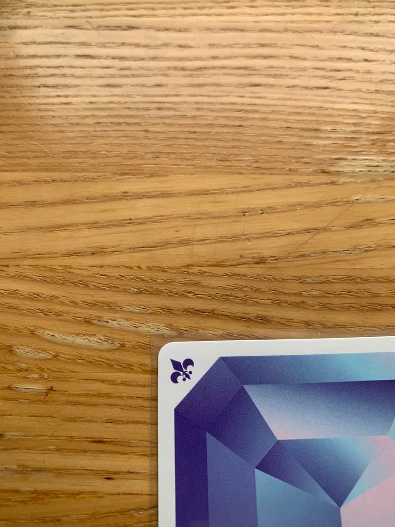 【即購入可！】ヴァイスシュヴァルツブラウ 家庭教師ヒットマンREBORN! SP