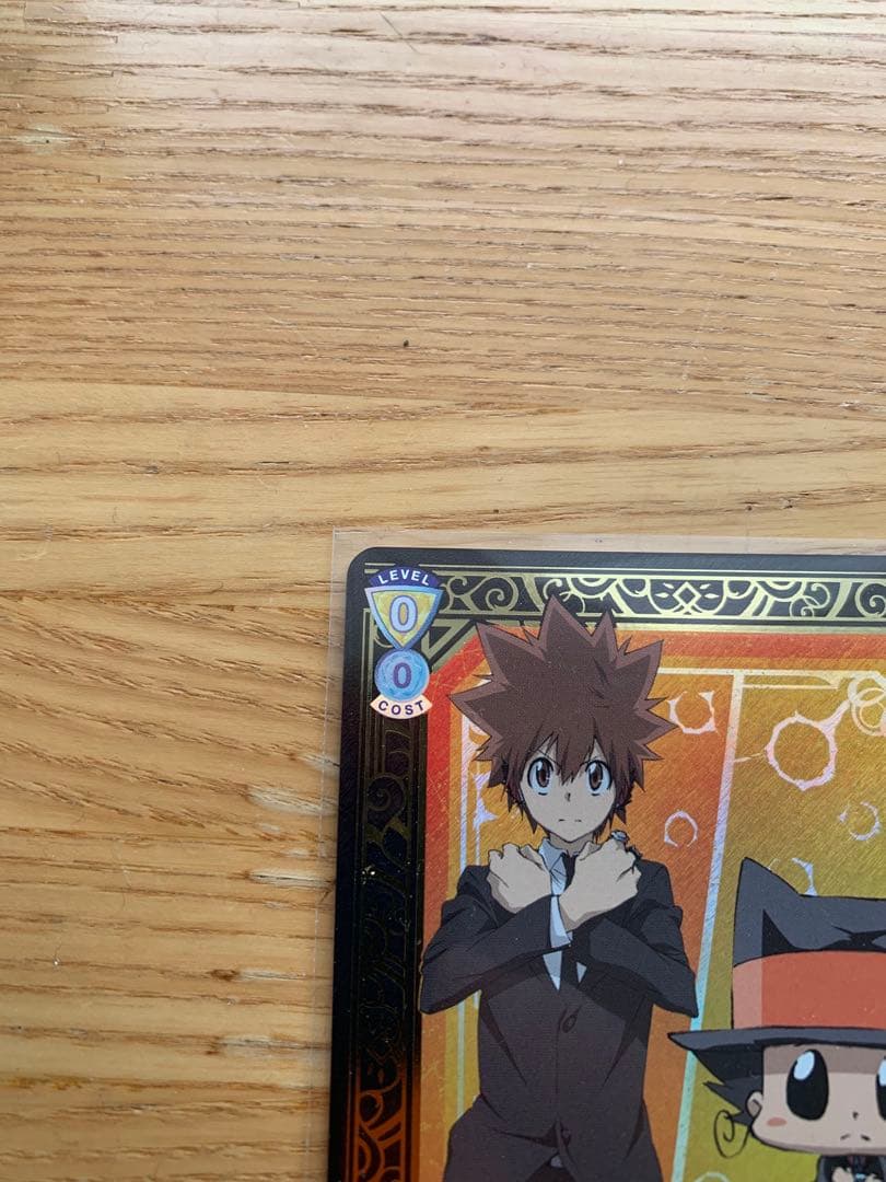 【即購入可！】ヴァイスシュヴァルツブラウ 家庭教師ヒットマンREBORN! SP