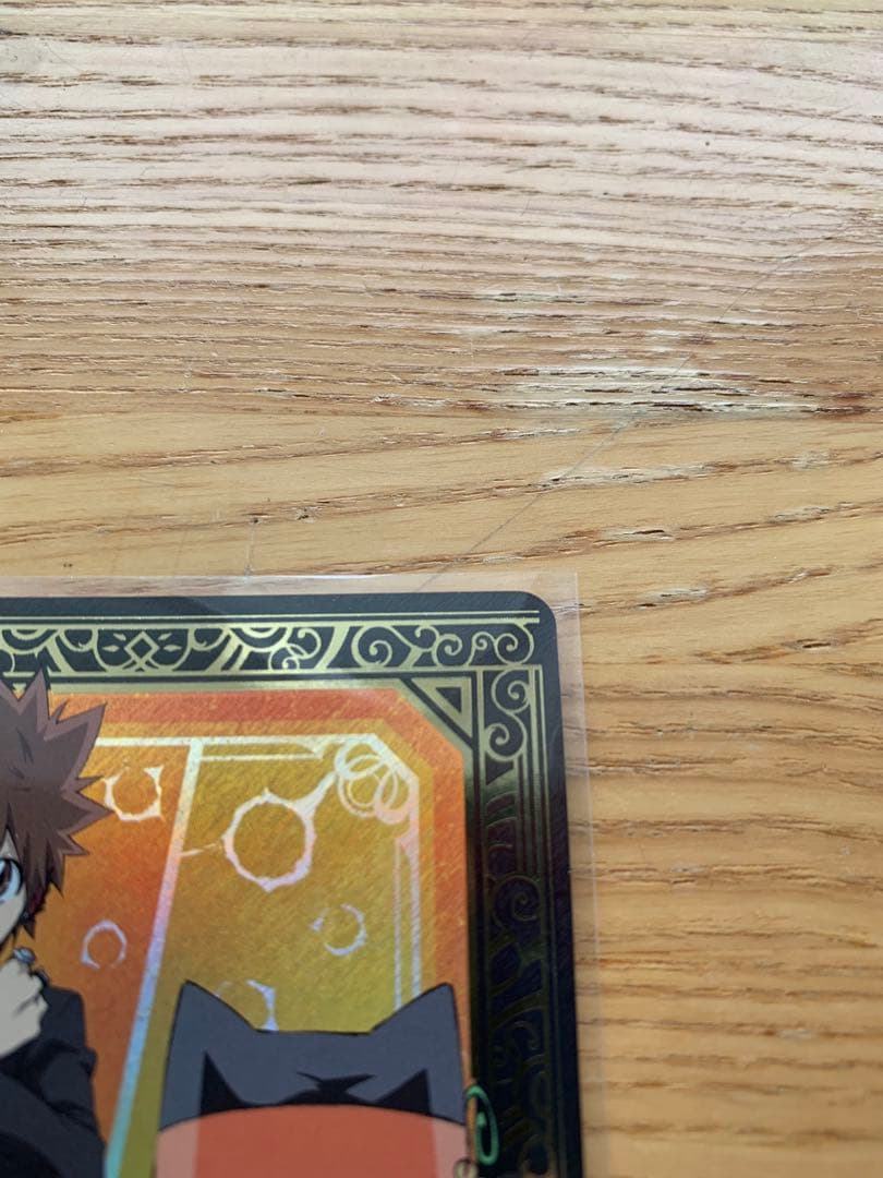 【即購入可！】ヴァイスシュヴァルツブラウ 家庭教師ヒットマンREBORN! SP