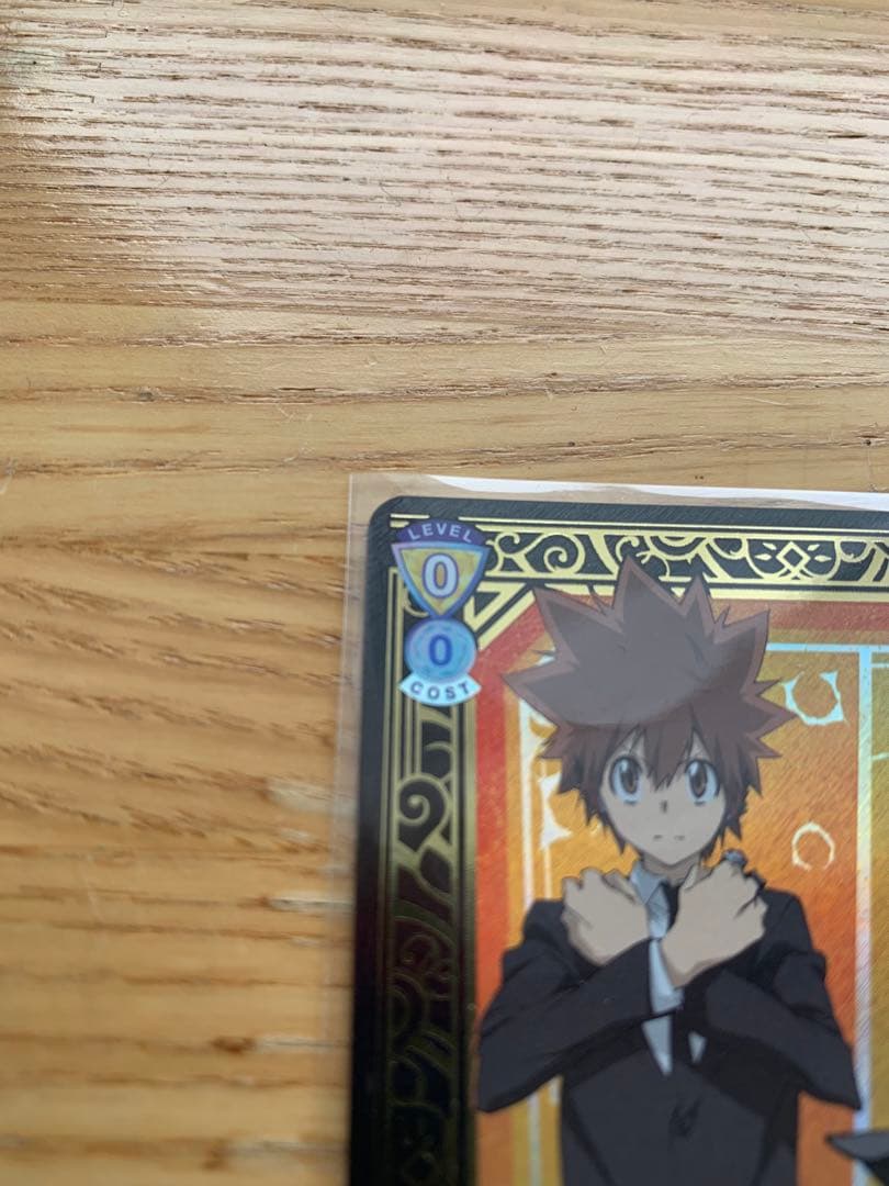 【即購入可！】ヴァイスシュヴァルツブラウ 家庭教師ヒットマンREBORN! SP