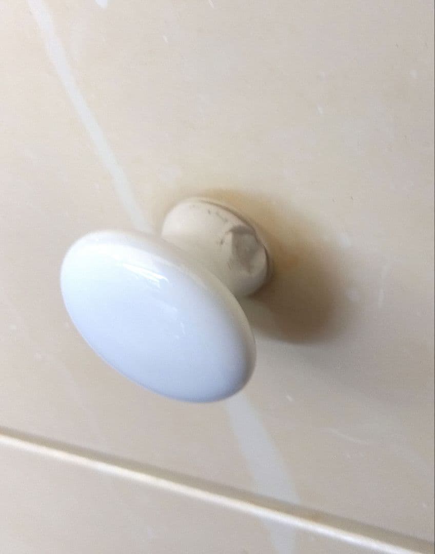 [き]昭和レトロ　女の子　犬　チェスト　大恵産業