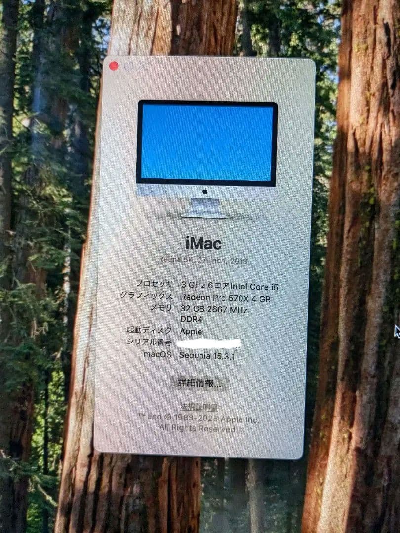 Apple iMac 27インチ シルバー 32GB SSD1TB 2019