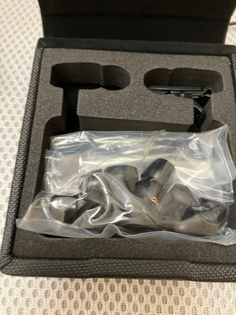 ほぼ未使用 JVC HA-FX1100 ウッドハウジング イヤフォン