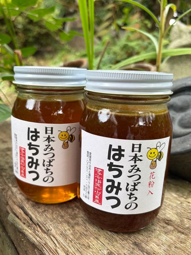 はちみつ　日本蜜蜂のハチミツ　奥山の奥の蜂蜜と花粉入りのはちみつ